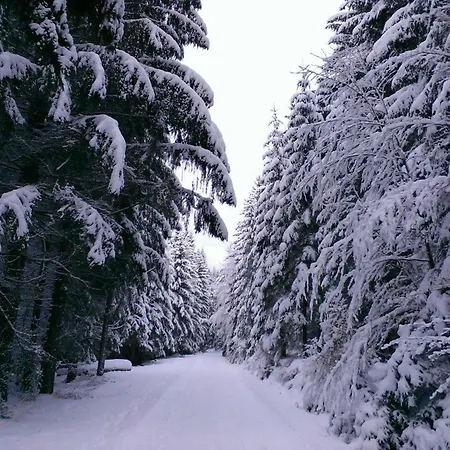 Mala Narnia 3*
